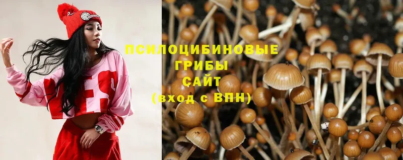 Псилоцибиновые грибы Magic Shrooms  Семилуки 